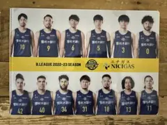 宇都宮ブレックス クリアファイルA4 8枚セット