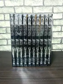 西風SELECTION GTroman 完全版全10巻完結セット SPコミックス 2025年最新】gtロマン 全巻の人気アイテム - メルカリ