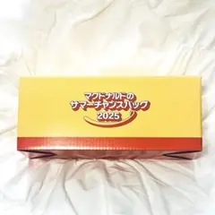 ●未使用新品・箱あり・グッズ４点●マクドナルド サマーチャンスバッグ 2025