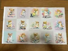 21.柴犬