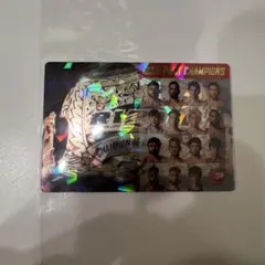 RIZINポテトスティック　ポスターカード