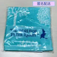 Item thumbnail for item 141e0782-2ac9-47f2-94d2-acd030f6cc34