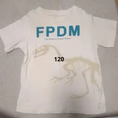 FPDM 恐竜骨格 Tシャツ ホワイト120