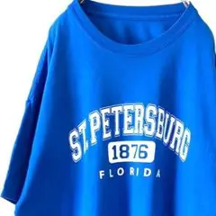 ST.PETERSBURG フロリダ Tシャツ ブルー 青 古着