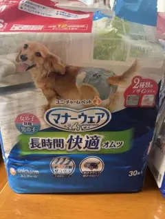 Item thumbnail for item 36ea2d51-45df-47d9-9500-d98785d22be0