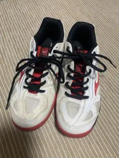 ミズノ　ブレイクショット3 テニスシューズ