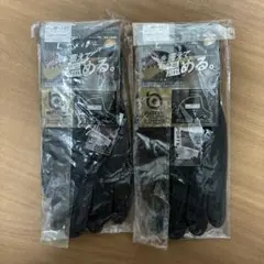 BODY 保温性作業用手袋 Lサイズ 2双