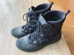 teva ハイライン