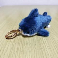 ぶるぶるふわふわサメ　ぷち