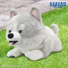 FANS ハスキーの子犬 ぬいぐるみ XL プレミアム