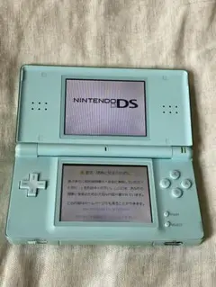 ニンテンドーDS Lite 箱・充電器付き