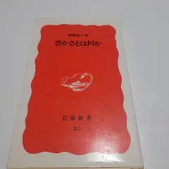 豊かさとは何か