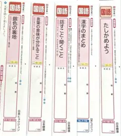 小学5年　国語　1学期　カラーテスト　光村図書　日本標準