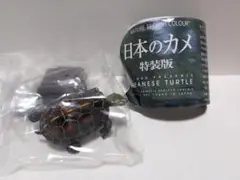 ヤエヤマセマルハコガメ　ネイチャーテクニカラー　日本のカメ　特装版