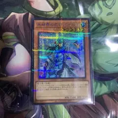 遊戯王　氷結界の虎将　ライホウ　シークレットパラレル