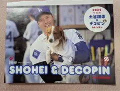 大谷翔平＆デコピンカレンダー☆