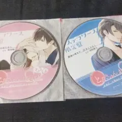 とろきゅんお泊まり　CD
