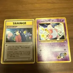 ナツメのESPとパリヤードセット