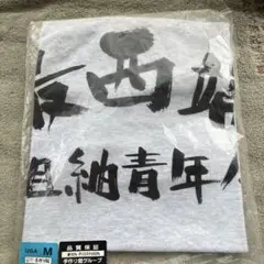 Mサイズ Tシャツ 綿50% ポリエステル50%
