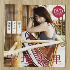 宇垣美里 DVD 週刊プレイボーイ付録 2019年