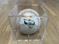 甲子園球場100周年　ドカベンボール ケース付き