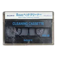 Item thumbnail for item 00c67942-a384-4115-8202-3132e42a5efa