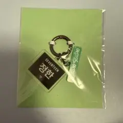 SEVENTEEN 展示会 韓国 グッズ 公式