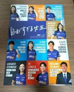 サンフレッチェ広島レジーナ　クリアファイル