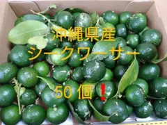 朝採り❗沖縄県産シークワーサー