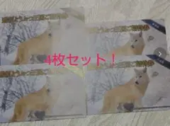 那須どうぶつ王国 無料招待券 4枚セット 格安!