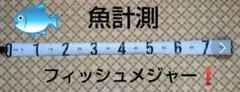 釣具お得セット❗️ 魚しめバサミとフィッシュグリップ 釣具