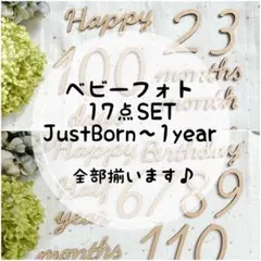 ベビーフォト17点set/ジャストボーン ハーフバースデー 100日祝い