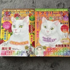 ミステリーサラ　2号セット