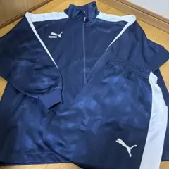 Item thumbnail for item 1c765867-a7f4-42df-8850-737a41663411