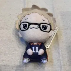 ハイキュー　もちぴこ　ぬいぐるみ　月島
