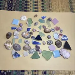 【505】シーグラス　マツバガイ　ミニ　ウノアシ　タカラガイ　鮑　サザエ　巻貝