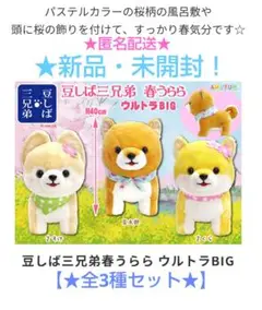 豆しば三兄弟 【新作】 春うらら  VMCコンプリート 2025年最新】豆しば三兄弟 春うららの人気アイテム - メルカリ