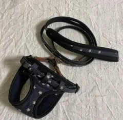 Item thumbnail for item f8bc626c-3dd8-4125-b78f-e755ce3c7f49