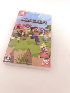 NintendoSwitch Minecraftマインクラフト パッケージのみ