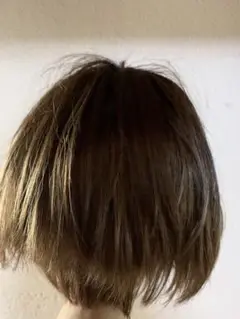 Item thumbnail for item 38bfa708-45bb-4b2a-afeb-4e6f1a4336c2