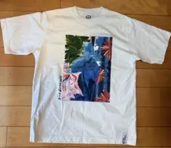 MIKU SHIMOMOTO × MALIBU SHIRTS
