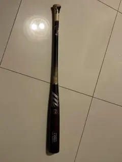 Item thumbnail for item 9963bf85-0eb6-481f-879e-f52d4c63dfab