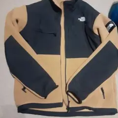 人気色 THE NORTH FACE デナリフリースジャケット