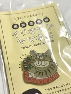 蟹江杏　ジクレー　雨の道、にじを運ぶ　版画 蟹江杏 ジクレー 雨の道、にじを運ぶ 版画 蟹江杏 ジクレー 雨の