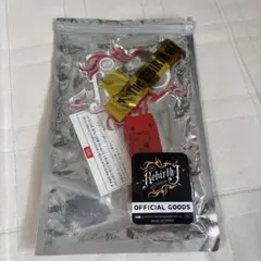 Item thumbnail for item 36dd4af0-213a-4046-bf11-3b3f67d127be