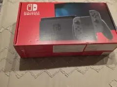 Switch グレー 2020