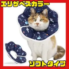 Item thumbnail for item e8335312-8a2c-4aa8-a504-aa6200dc7ceb