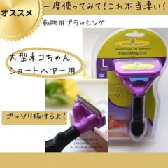 Item thumbnail for item dbf68bd4-6078-4548-b372-b2ac136d2560