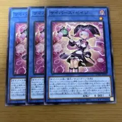 サイバース・セイジ