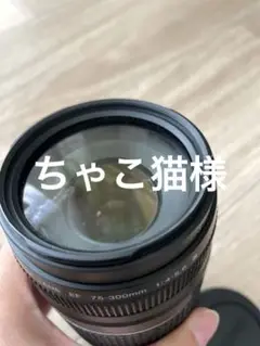 Item thumbnail for item df188b8e-faa1-4f7a-8970-24ee29e87600